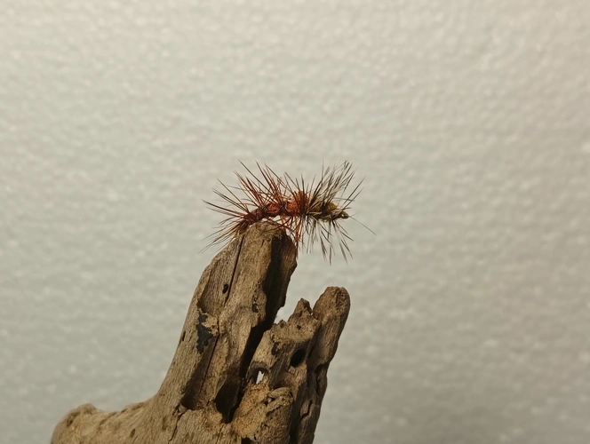 Stimulator attractor dry fly