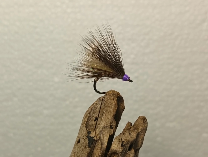 Caddis dry fly close-up for Dullstroom trout