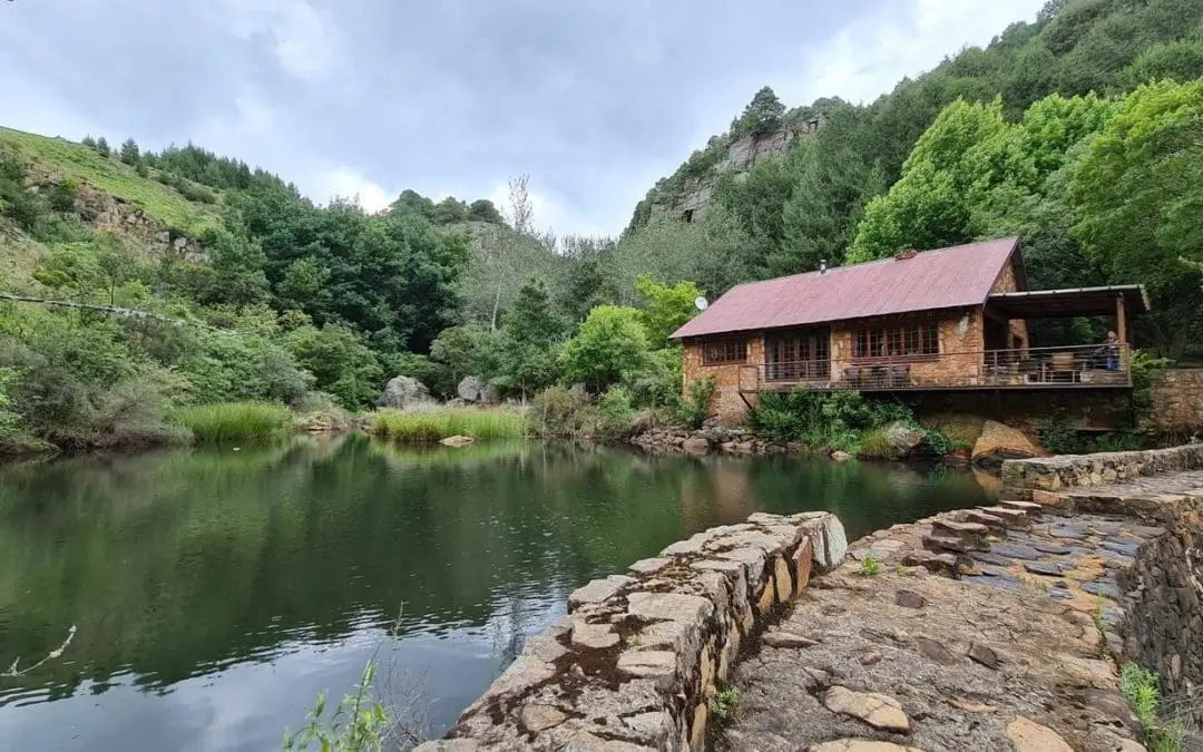 Walkersons Estate trout dam