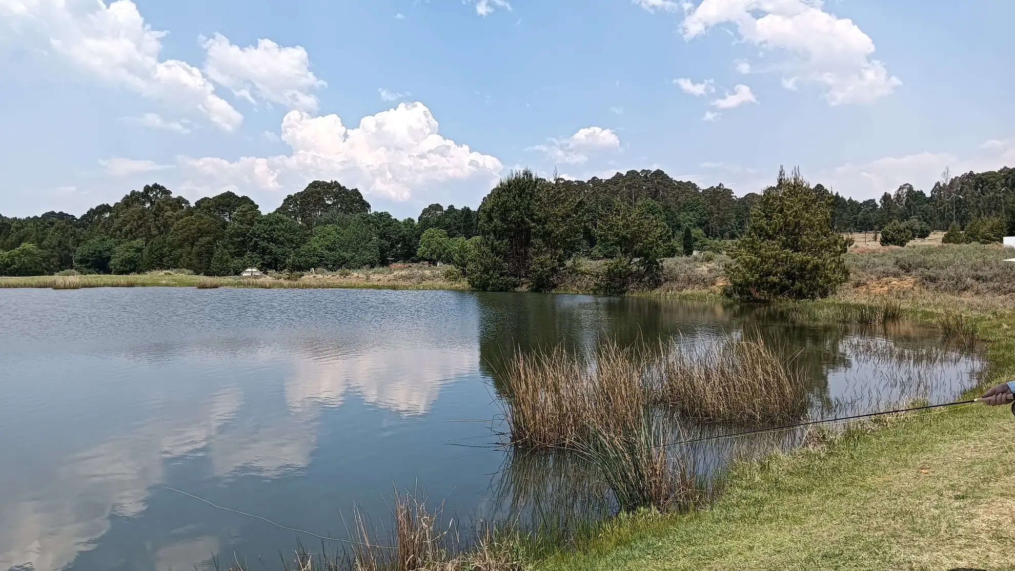 Golden-hour panorama of Laverpa in Dullstroom, stillwaters in the Mpumalanga highlands